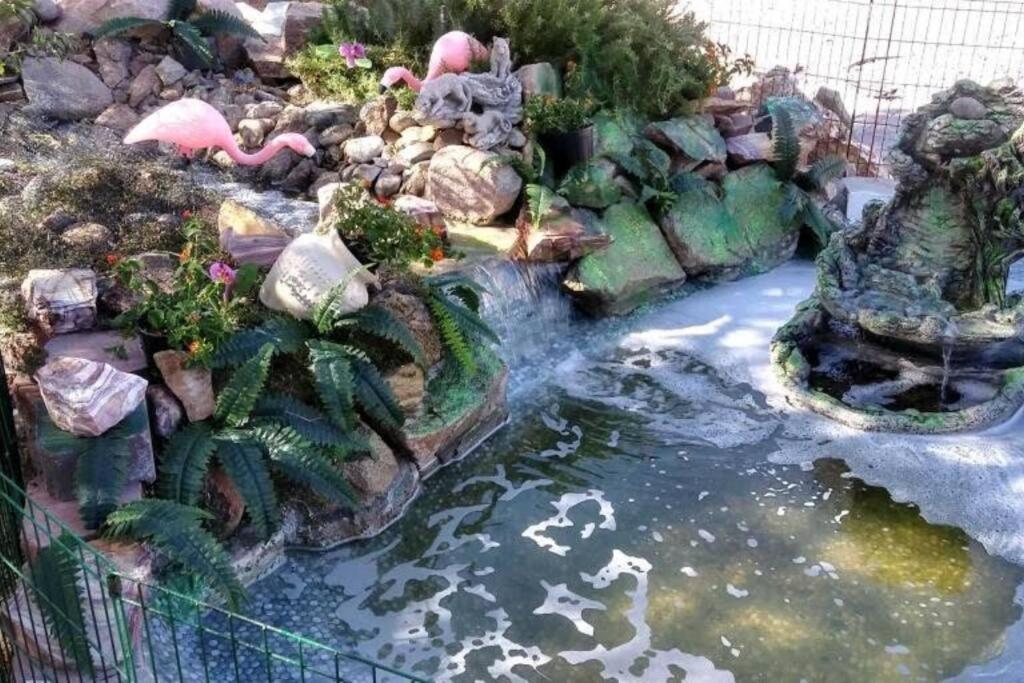 Enjoy Fruits Of Your Labours Staying At 601 Grape Drive Las Vegas Dış mekan fotoğraf